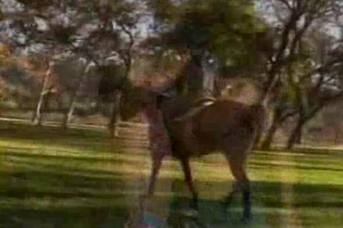 Jeff Stryker Country hammer