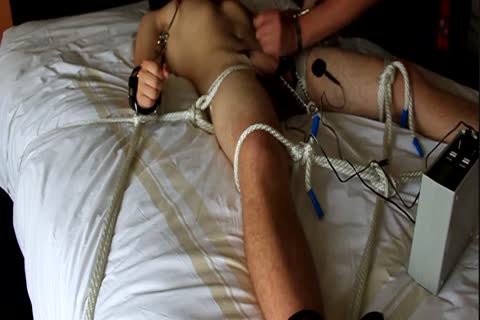 IML 2013 pleasure