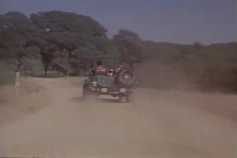 KESTREL KEEPSAKE KLASSICS two