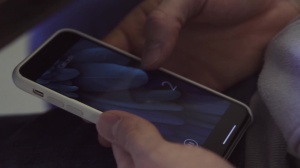 anal Controller - anal Sex