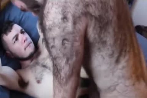 DADDY BEAR bonks HIS dude