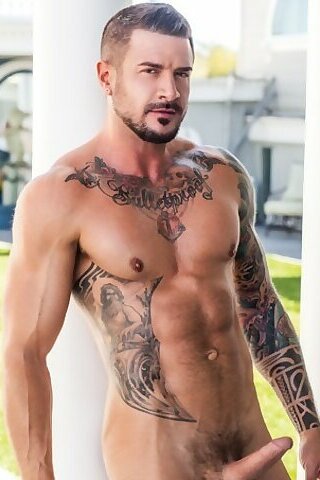 Dolf Dietrich avatar